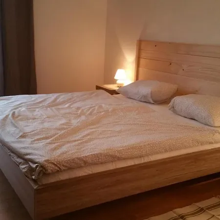 Haus Hoegl 度假居 萨尔茨堡